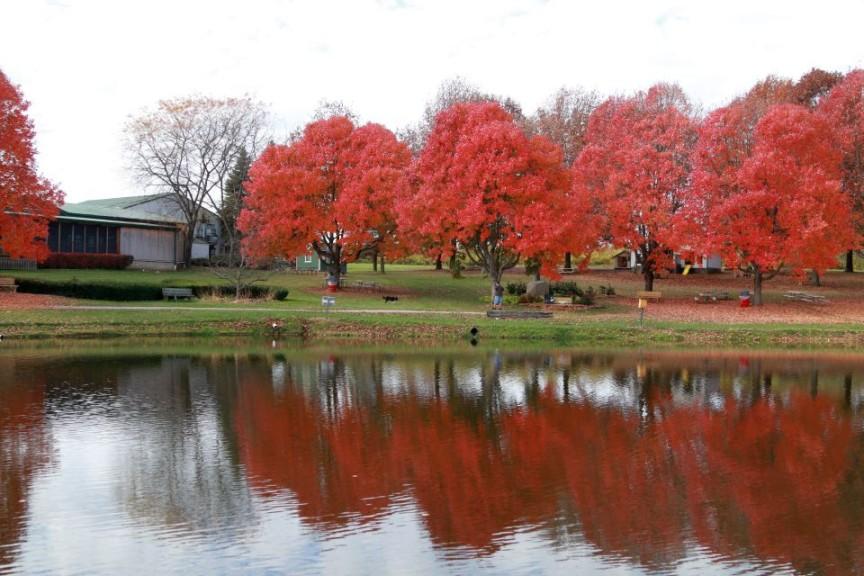 SunsetMeadowGrove
