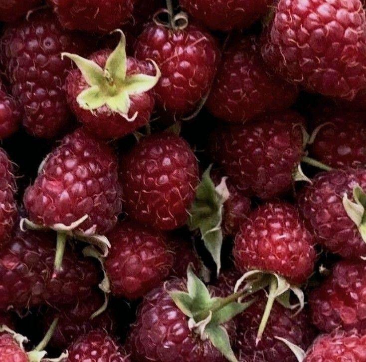 Garden's Pride: Vibrant Berry Fusion Box